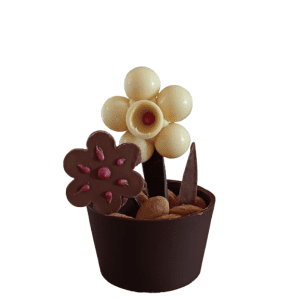 pot-fleur-fete-des-meres