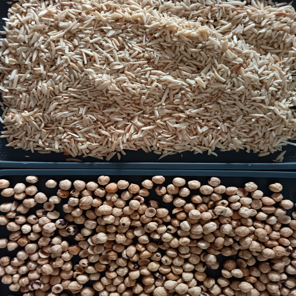 amande-noisette-torrefier