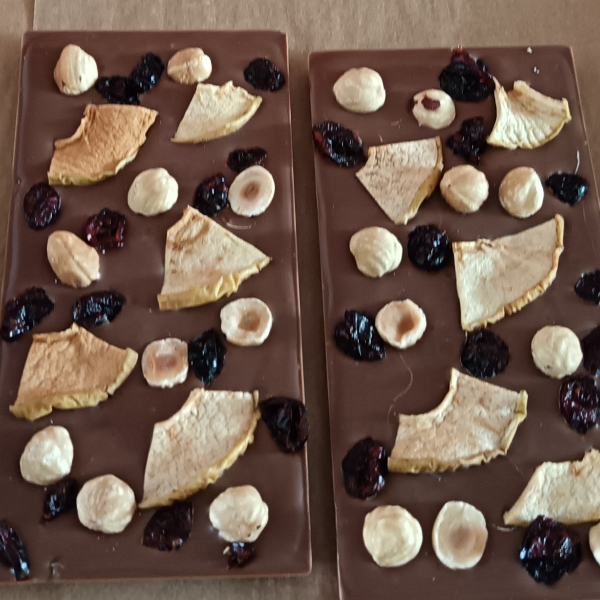 tablette-pomme-seche-cranberry-noisette