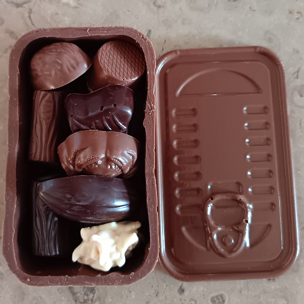 boite-de-sardine-garni