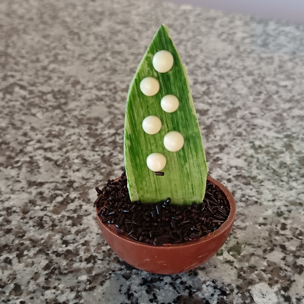 pot-muguet-praliner-pistache